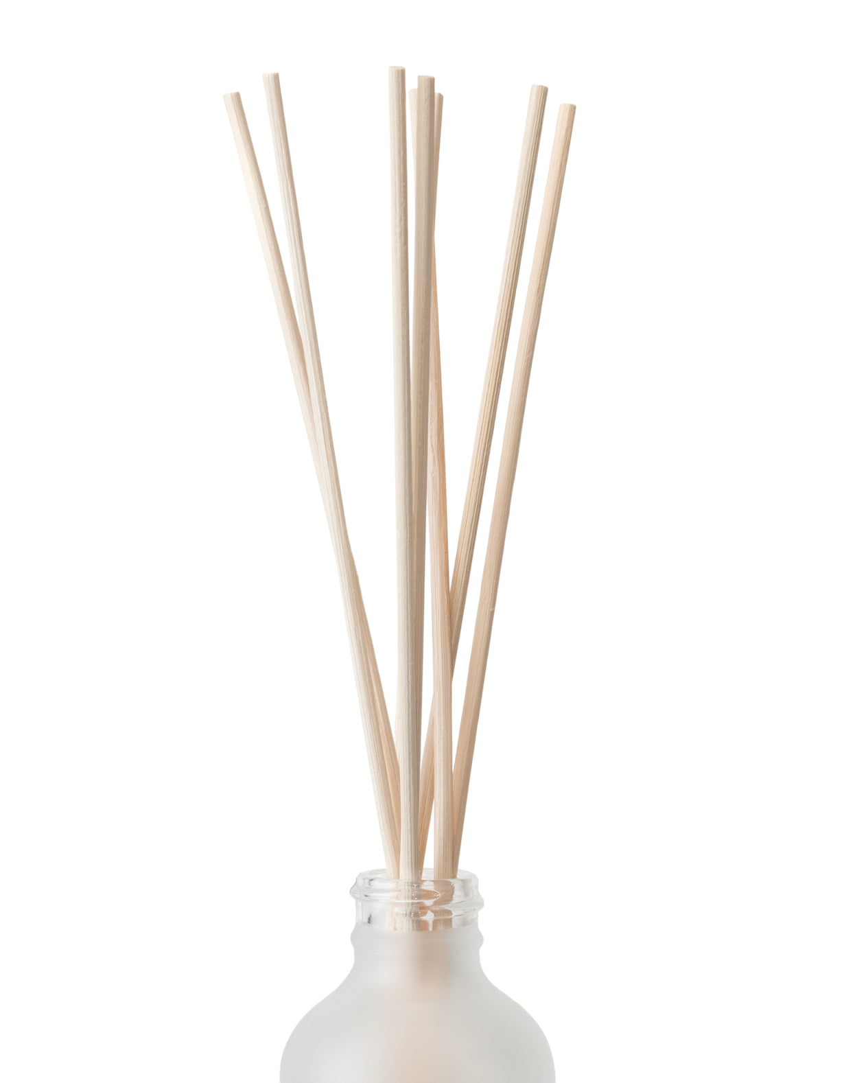 BÂTON DE ROSEAU DE RECHANGE | BAMBOU - Pando Co