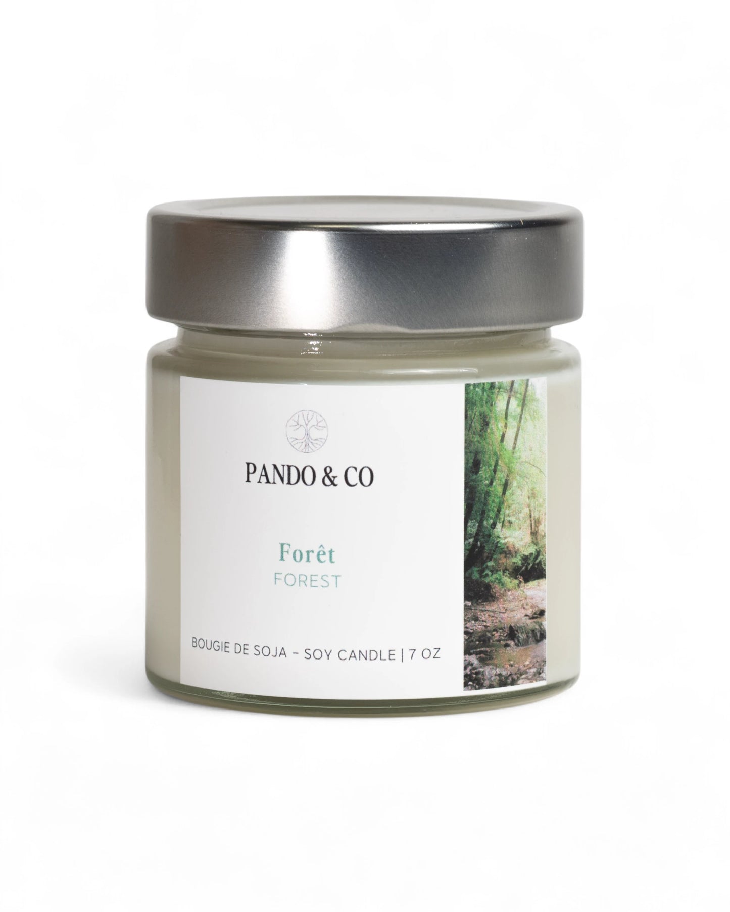 BOUGIE - FORÊT | PANDO & CO
