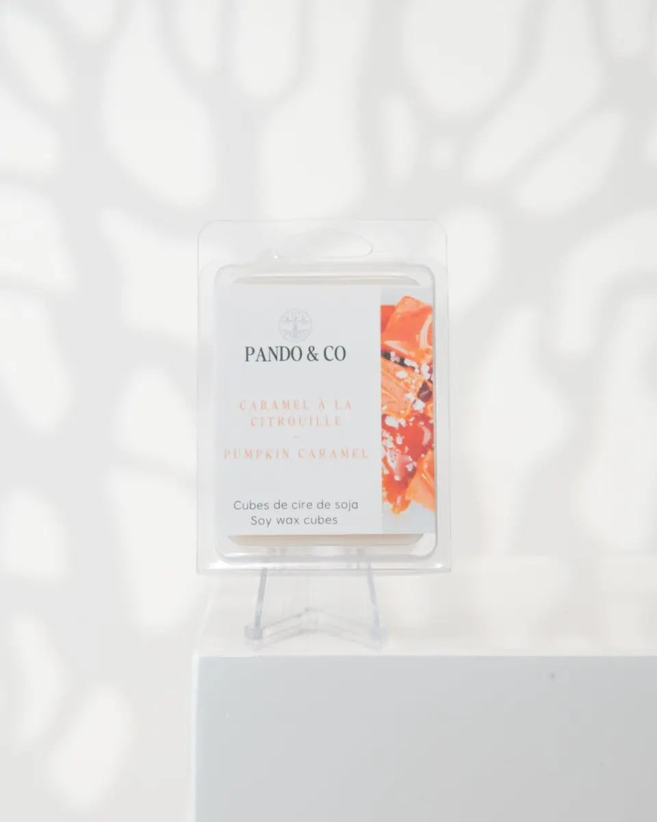 CUBE EXCLUSIF | CARAMEL À LA CITROUILLE - Pando & co -