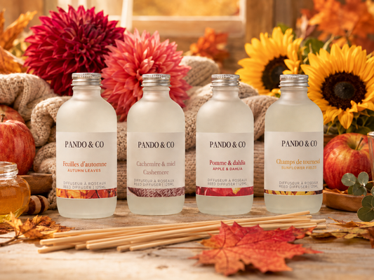 Reed & Stick Diffuser | Cashmere Breeze