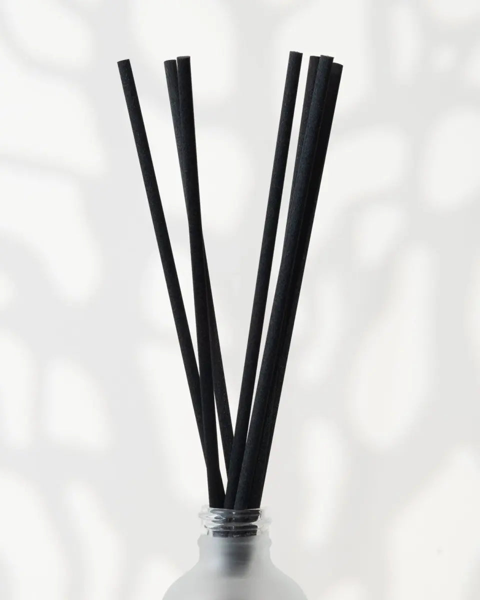 ROSEAUX EXCLUSIFS | NOIR - Pando & co -