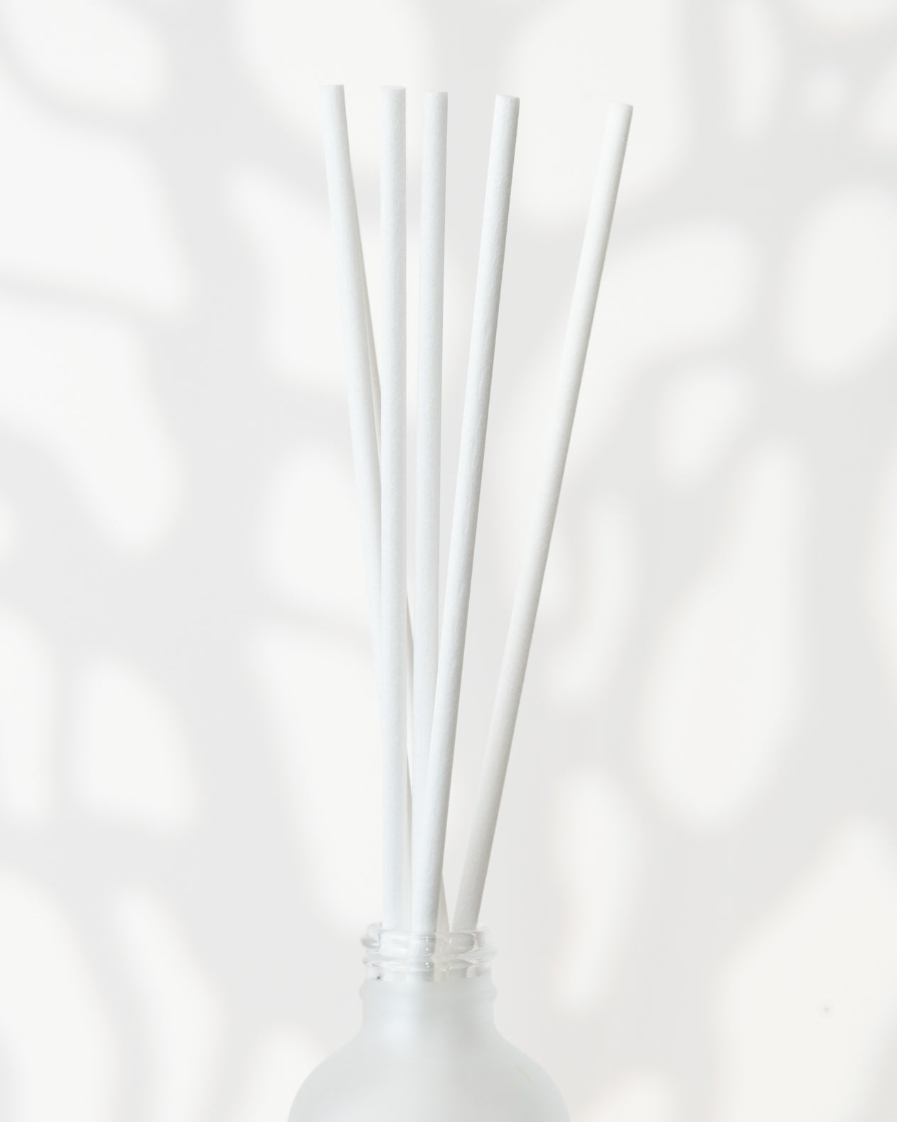 BÂTONS ROSEAUX - BLANC | PANDO & CO