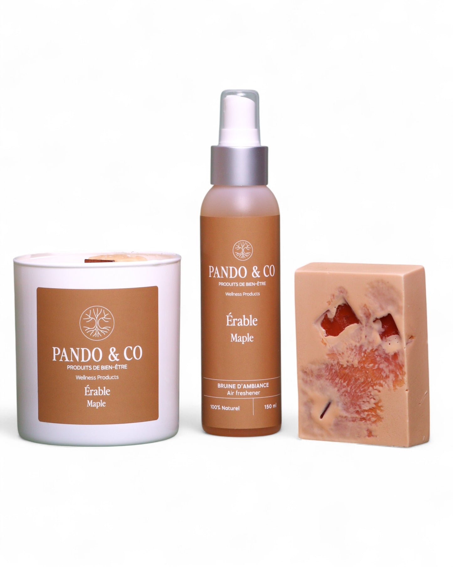 boite-cadeau-a-la-cabane-a-sucre-pando-et-co-1