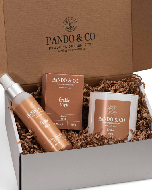 BOÎTE CADEAU | À LA CABANE À SUCRE - PANDO & CO
