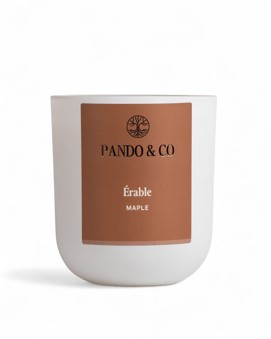 BOUGIE | ÉRABLE - Pando & co
