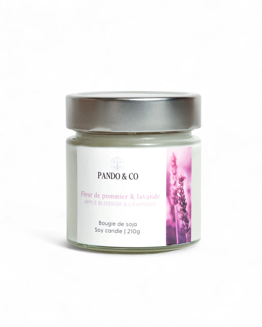 BOUGIE | FLEUR DE POMMIER & LAVANDE - PANDO & CO