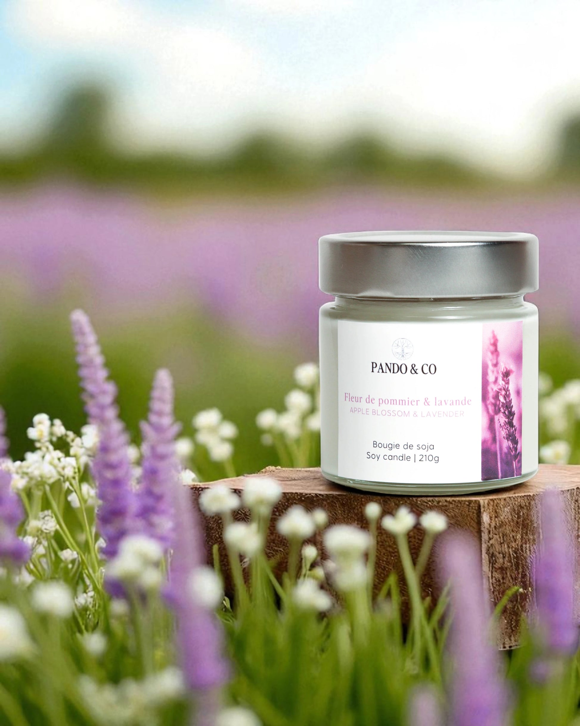 BOUGIE | FLEUR DE POMMIER & LAVANDE - PANDO & CO