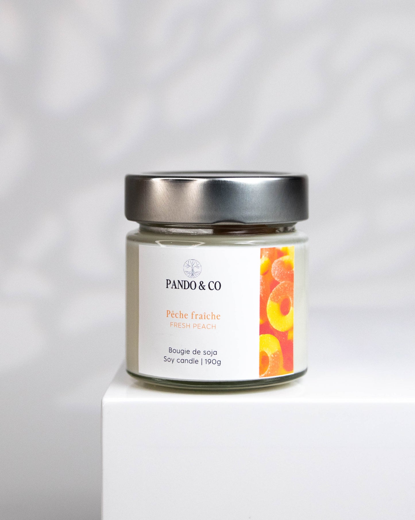 bougie-peche-fraiche-pando-et-co