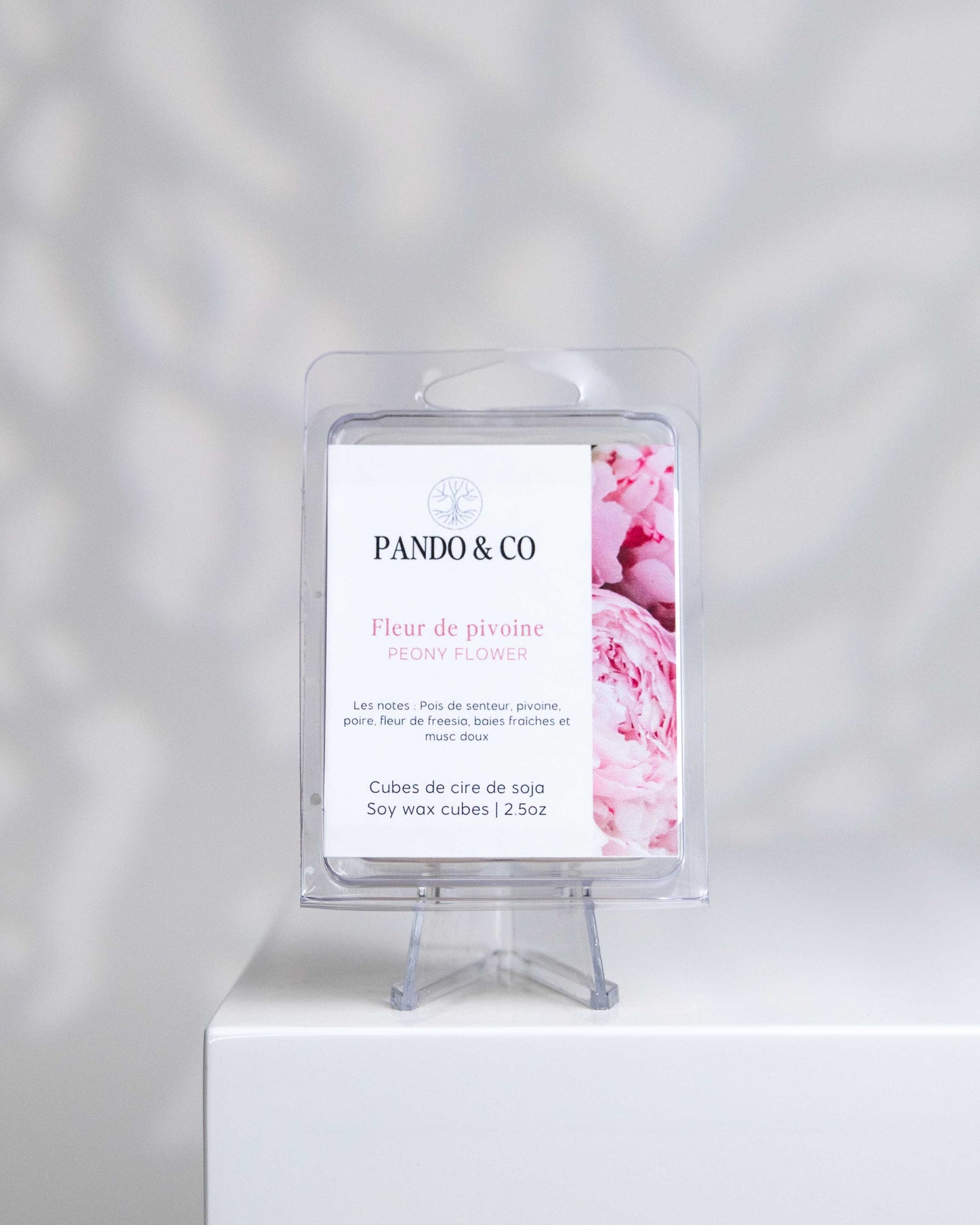 cube-de-cire-fleur-de-pivoine-pando-et-co