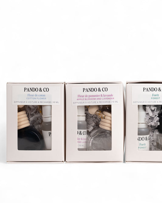 KIT DE DÉPART POUR DIFFUSEUR À VOITURE 10 ML