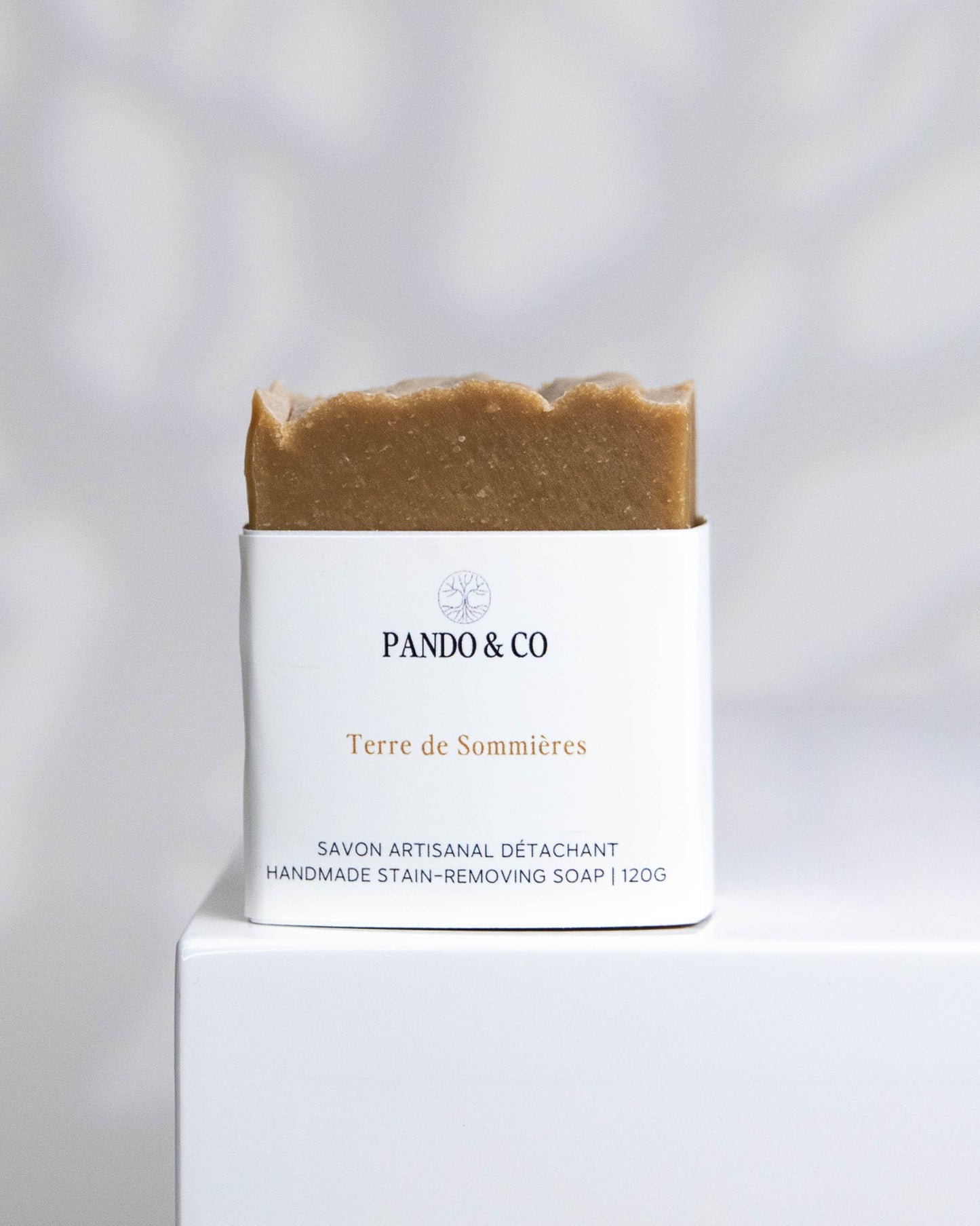 SAVON DÉTACHANT | TERRE DE SOMMIÈRES