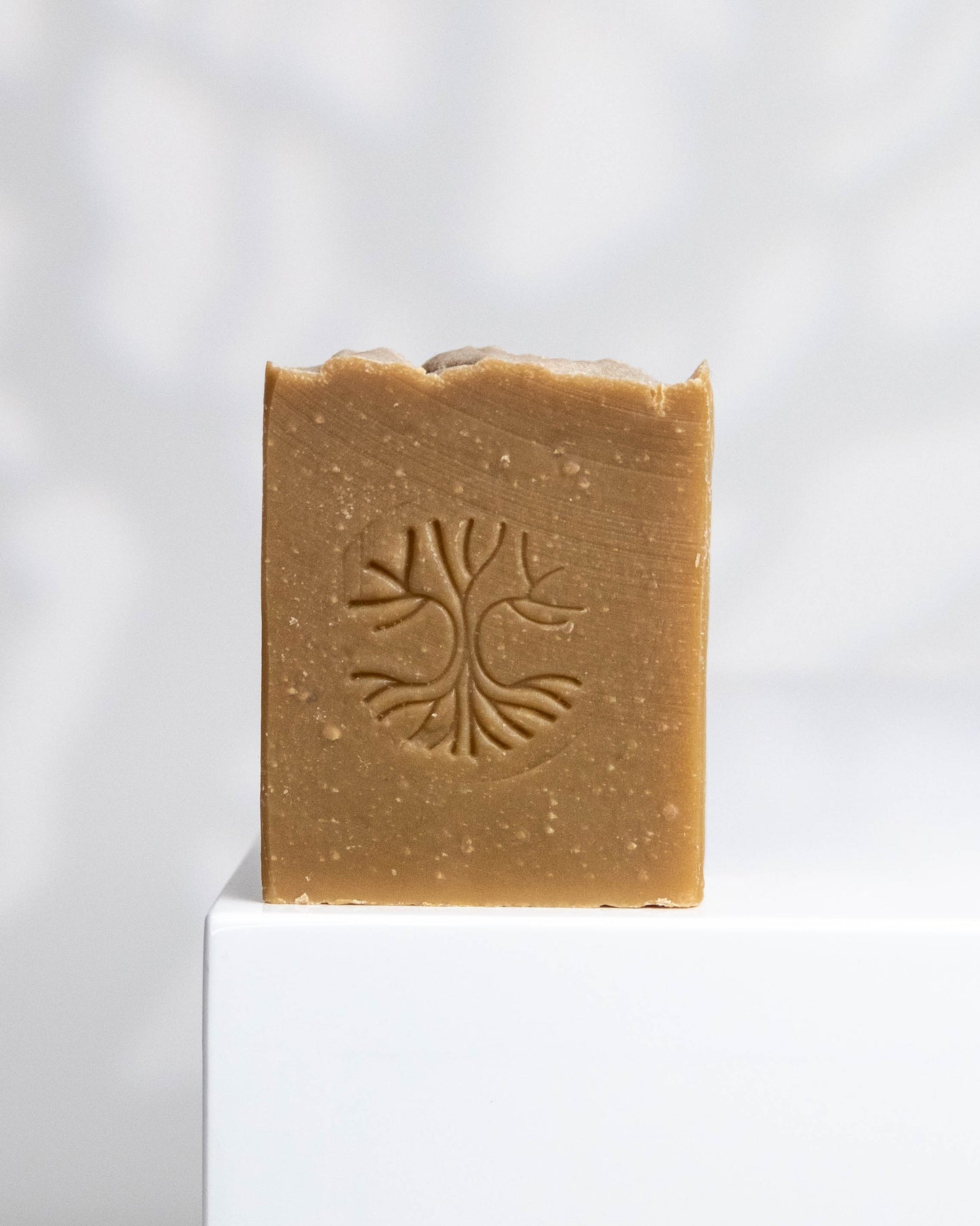SAVON DÉTACHANT | TERRE DE SOMMIÈRES
