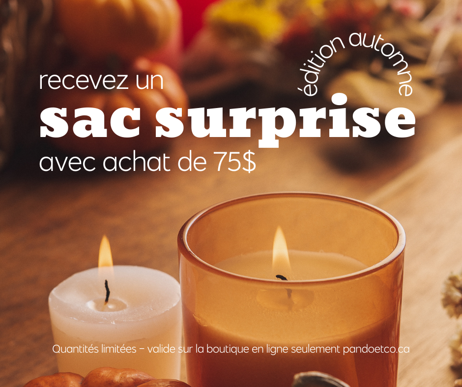 SAC SURPRISE - ÉDITION AUTOMNE | PANDO & CO