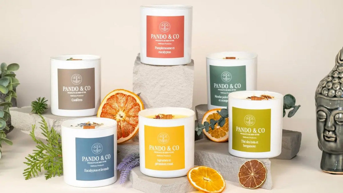 Les bienfaits des chandelles aromatiques aux huiles essentielles pour votre maison - Pando & co