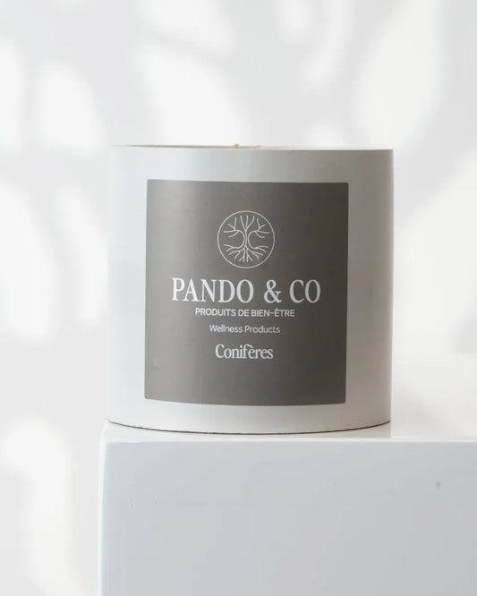BOUGIE DE BÉTON MYSTÈRE - Pando & co -