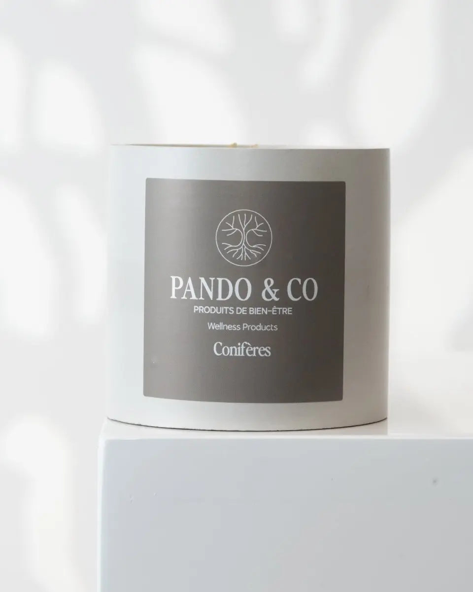 BOUGIE DE BÉTON MYSTÈRE - Pando & co - 