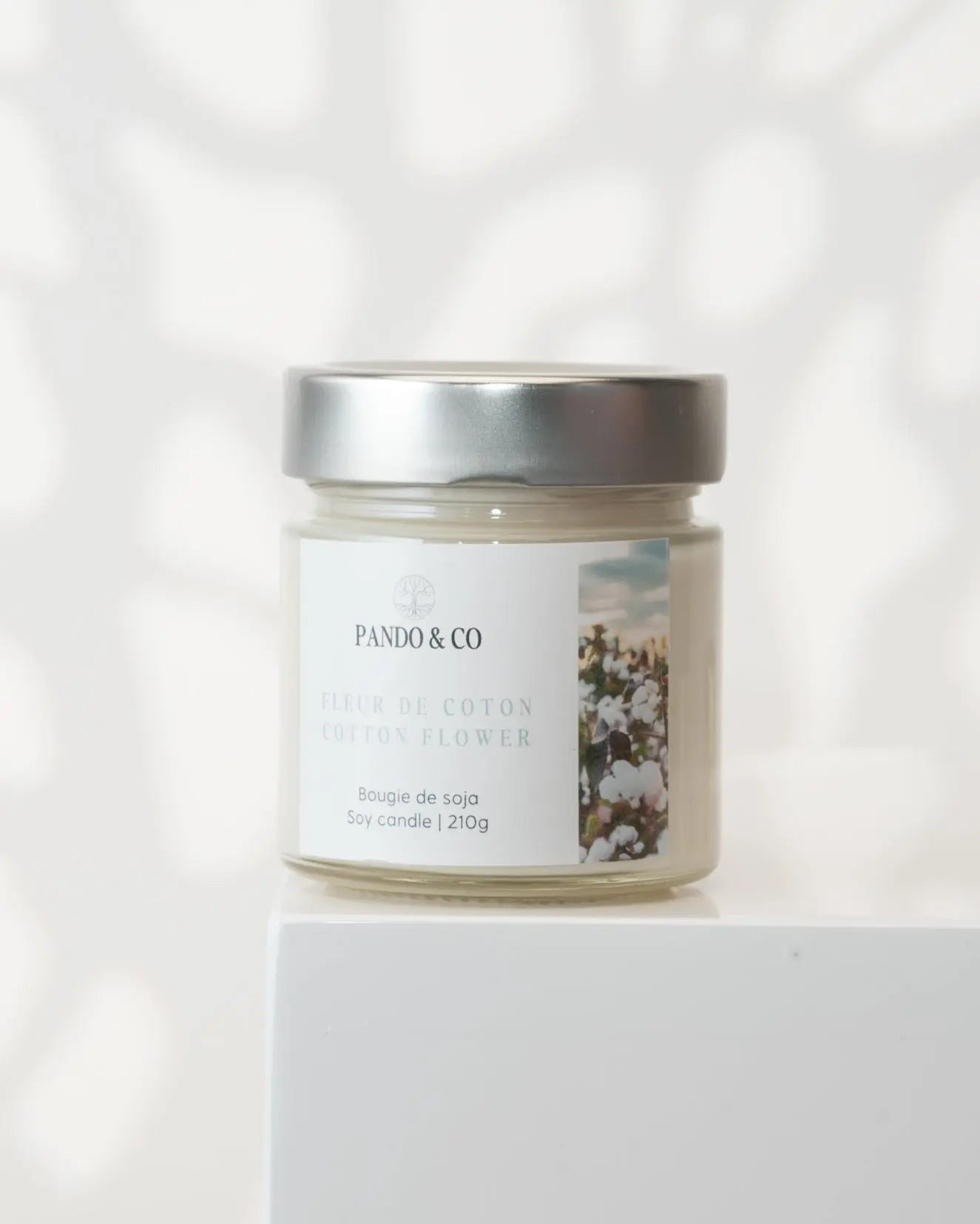 Bougie exclusive Fleur de Coton 7oz - Pando & Co