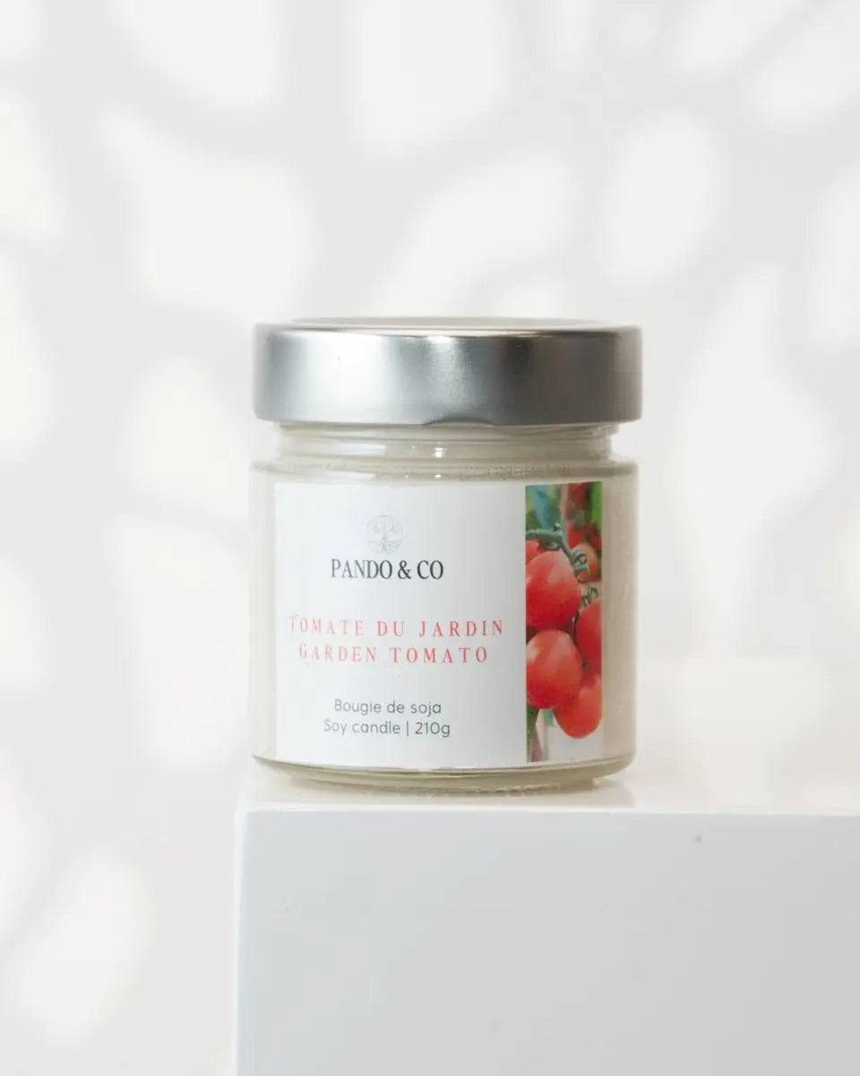 BOUGIE EXCLUSIVE | TOMATE DU JARDIN - Pando & co - 