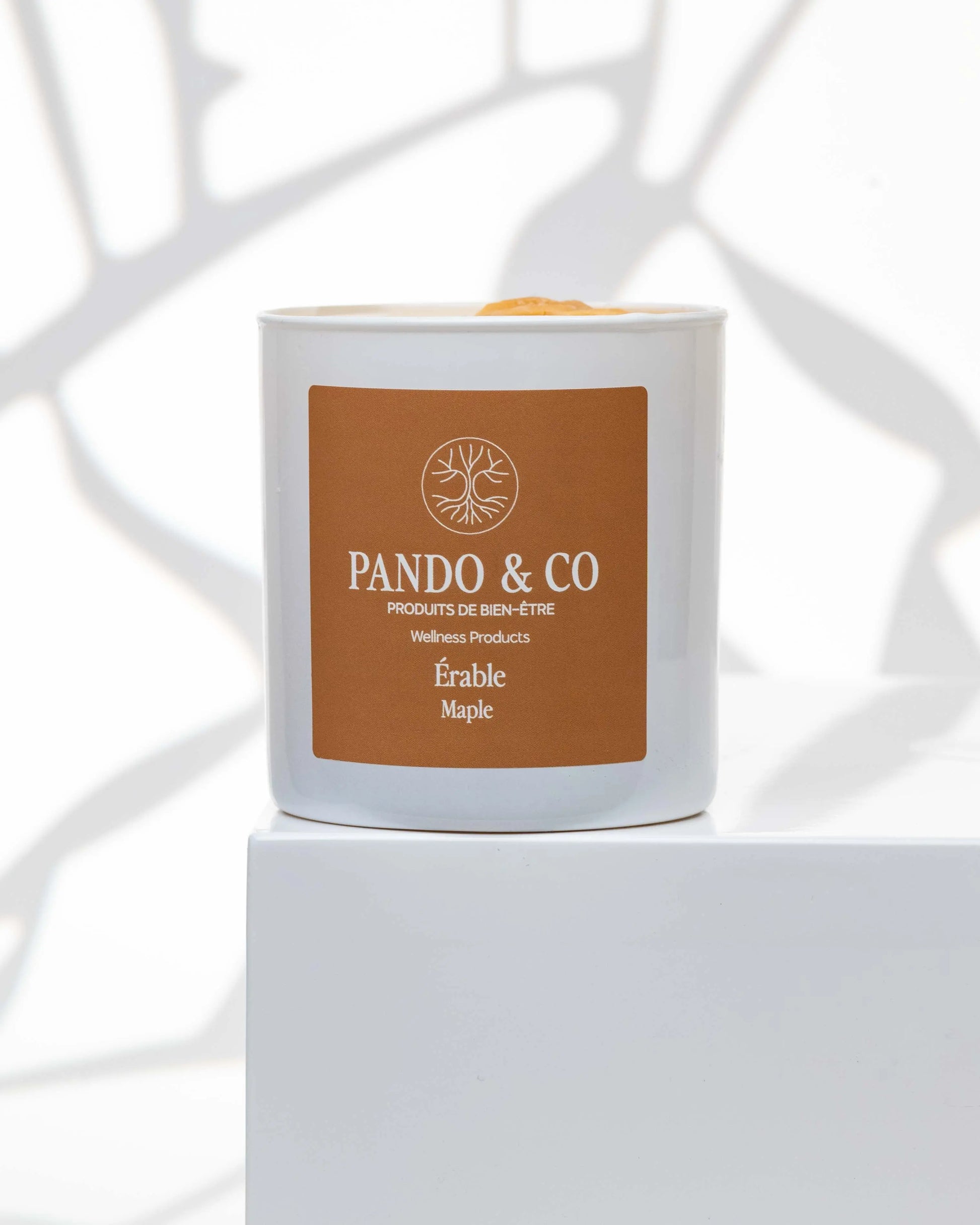 BOUGIE | ÉRABLE Pando & co