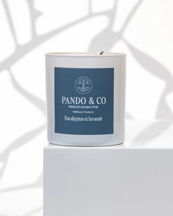 BOUGIE | EUCALYPTUS & LAVANDE Pando & co