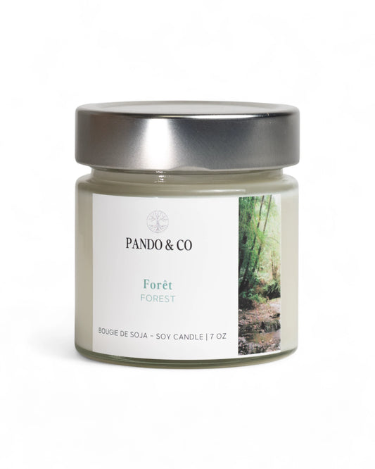 BOUGIE - FORÊT | PANDO & CO