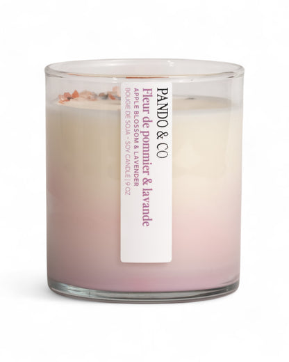 BOUGIE ARTISTE - FLEUR DE POMMIER & LAVANDE | PANDO ET CO