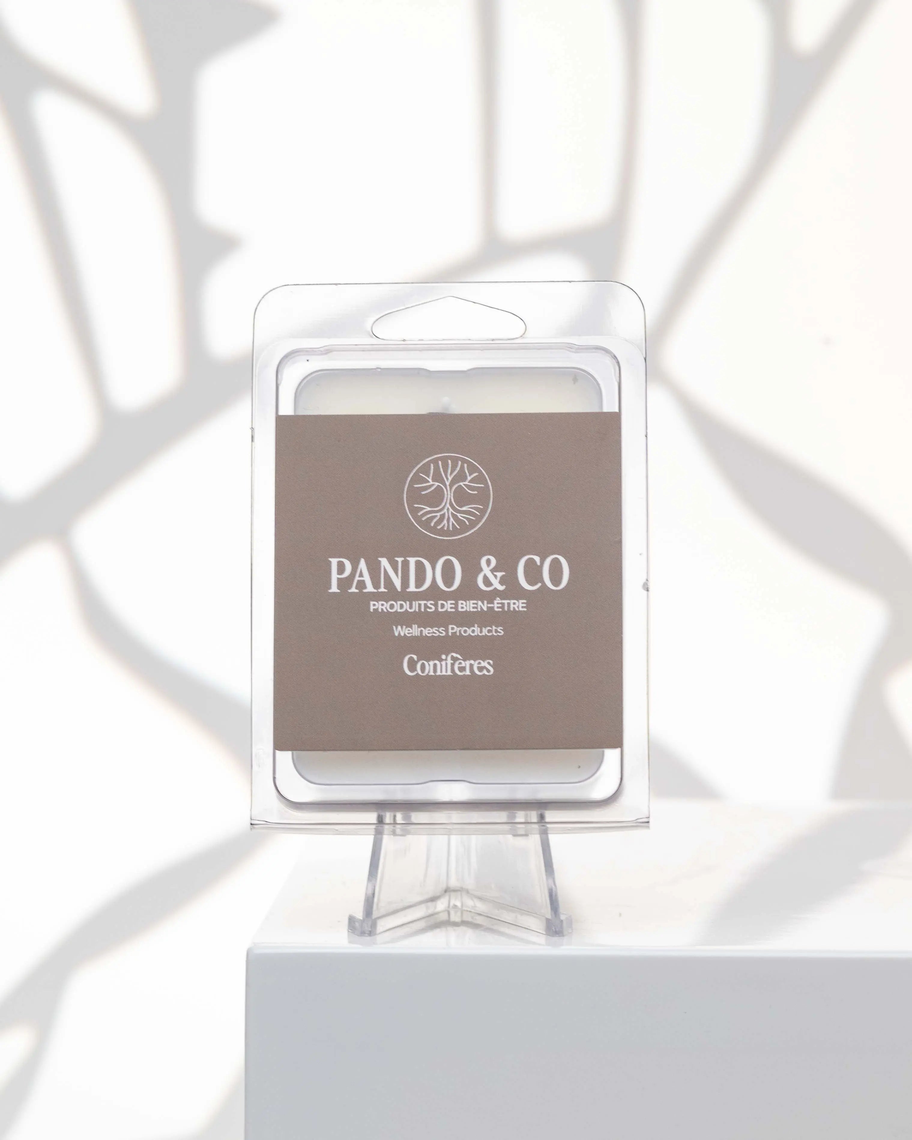 CUBES DE CIRE | CONIFÈRES Pando & co