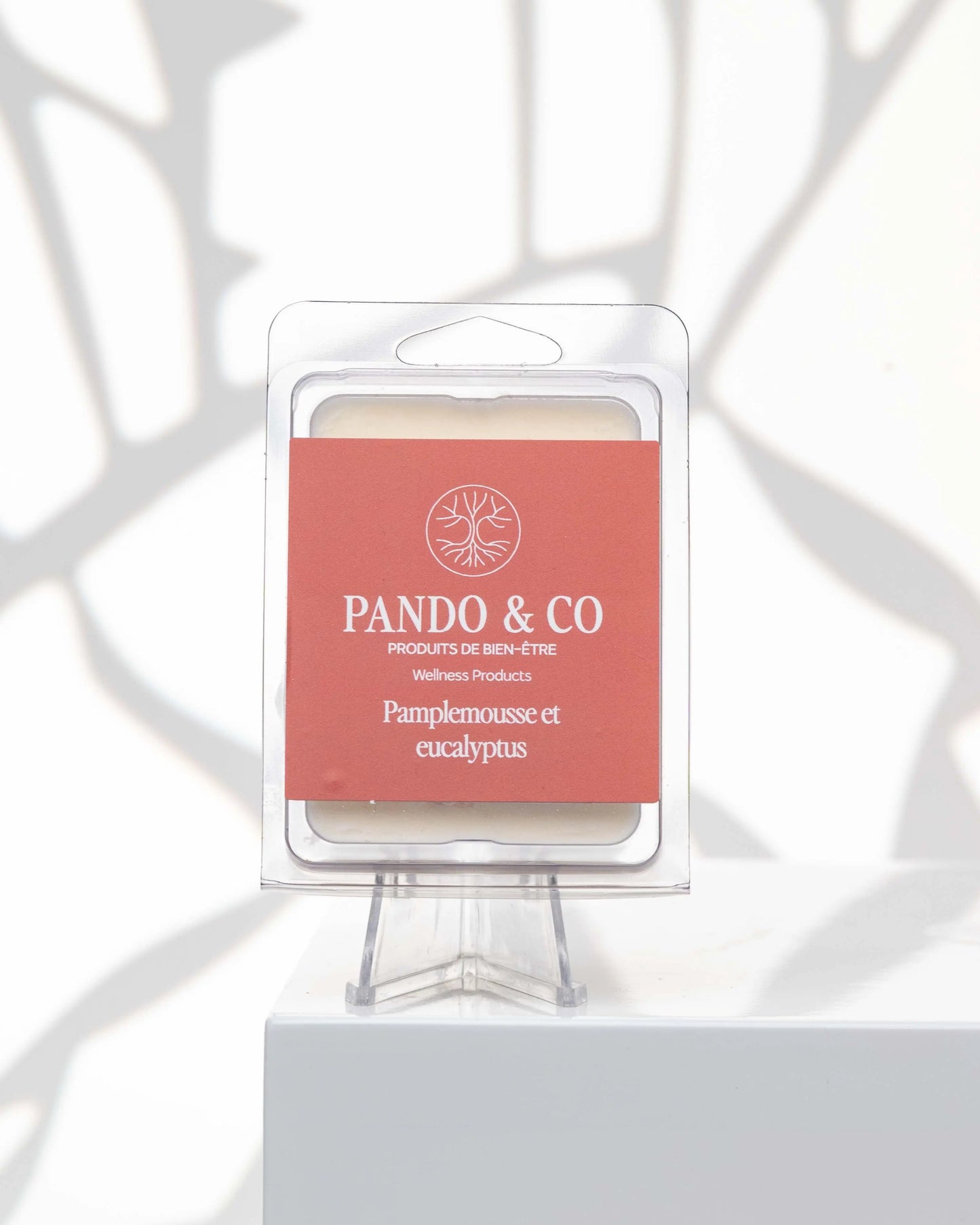 CUBES DE CIRE | PAMPLEMOUSSE & EUCALYPTUS Pando & co