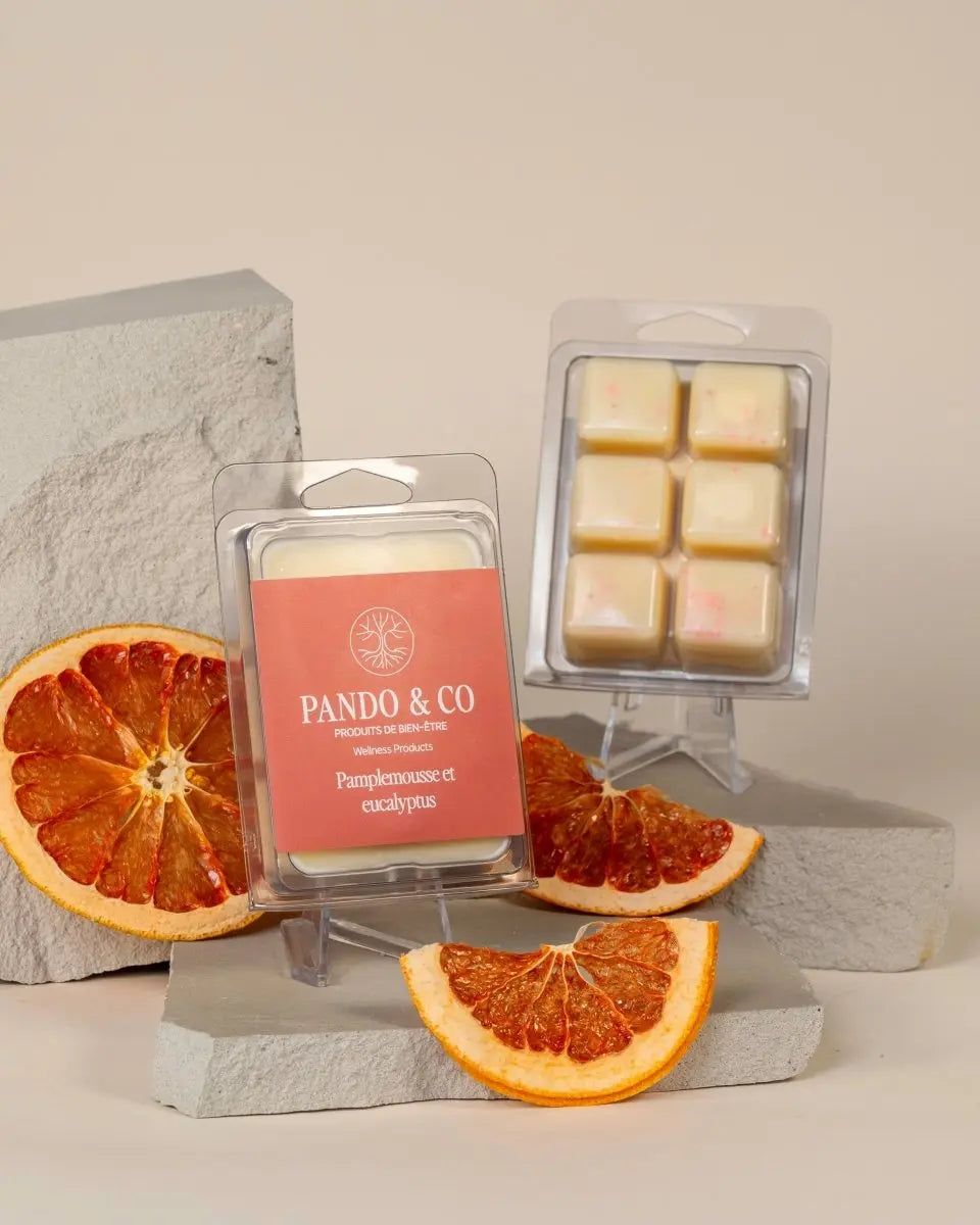 CUBES DE CIRE | PAMPLEMOUSSE & EUCALYPTUS - Pando & co - Cube de cire