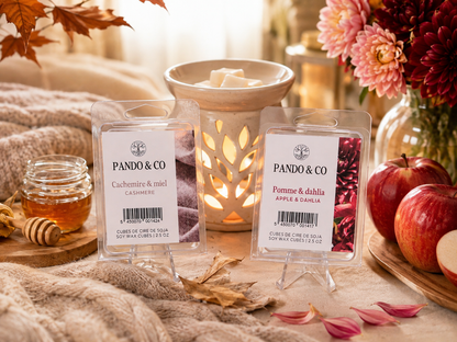 CUBES DE CIRE | CACHEMIRE ET MIEL