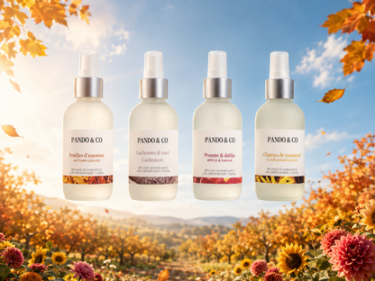 BRUINE D'AMBIANCE | CHAMPS DE TOURNESOL