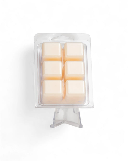 CUBES DE CIRE | FEUILLES D'AUTOMNE - PANDO & CO