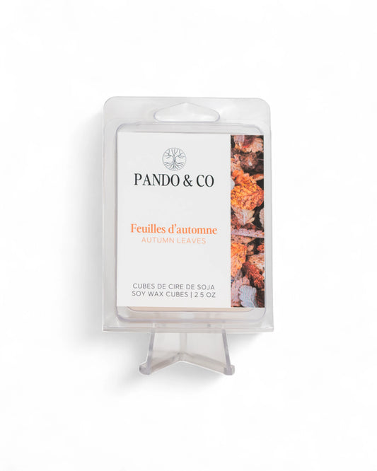 CUBES DE CIRE | FEUILLES D'AUTOMNE - PANDO & CO