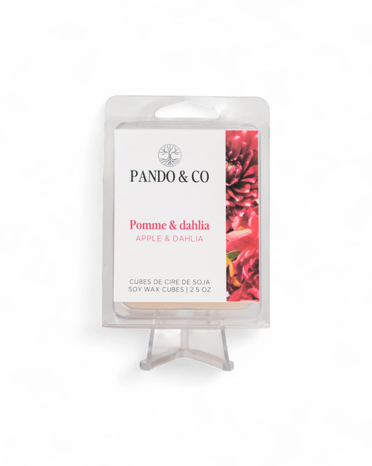 CUBES DE CIRE - POMME & DAHLIA | PANDO ET CO