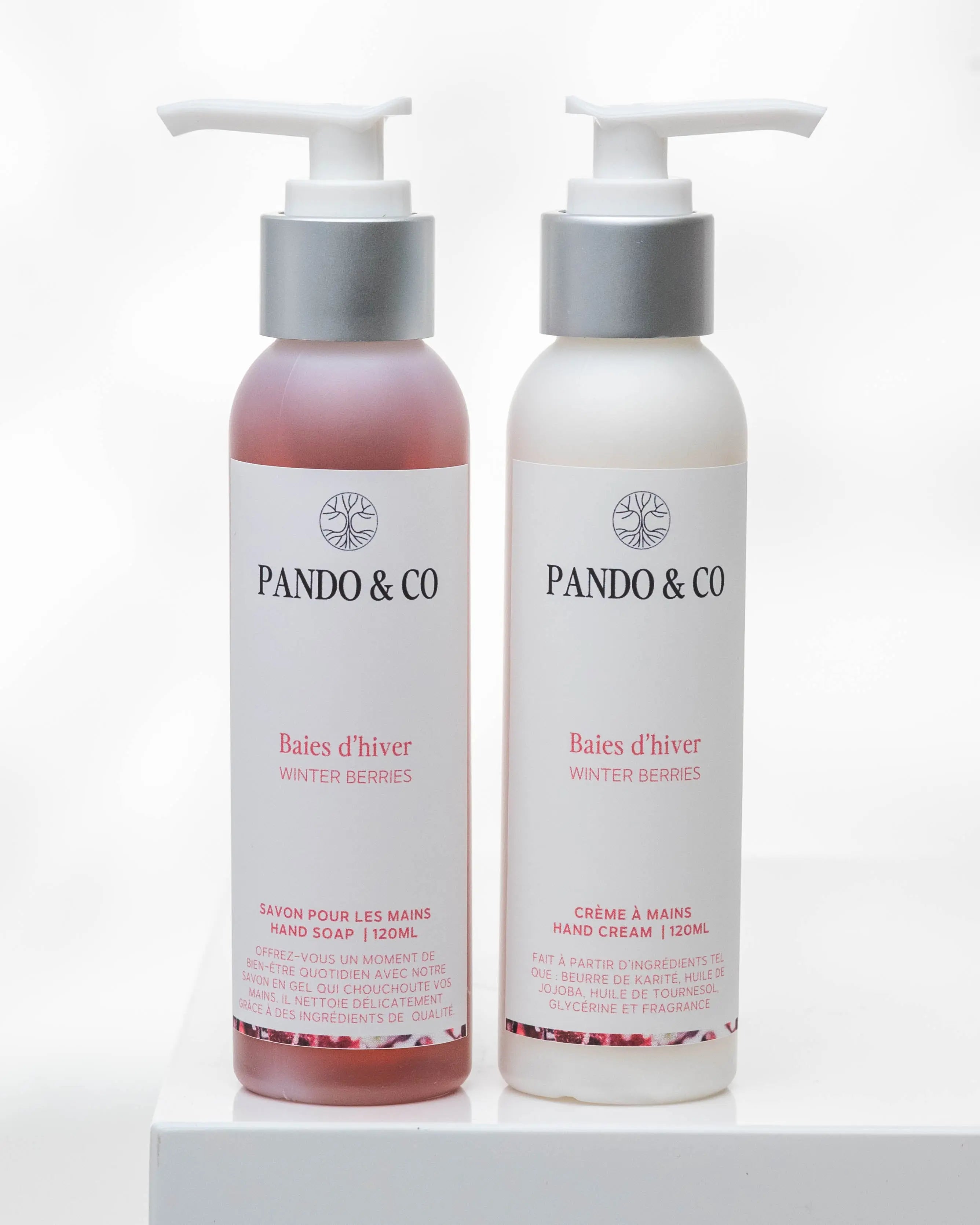 DUO SAVON & CRÈME À MAINS | BAIES D'HIVER Pando & co