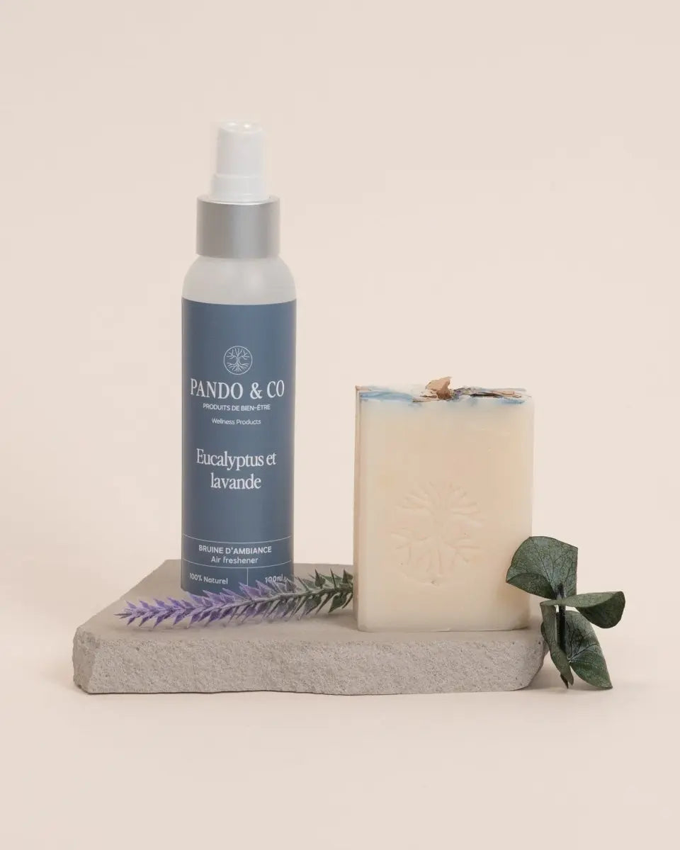 DUO | EUCALYPTUS & LAVANDE - Pando & co - Bougie