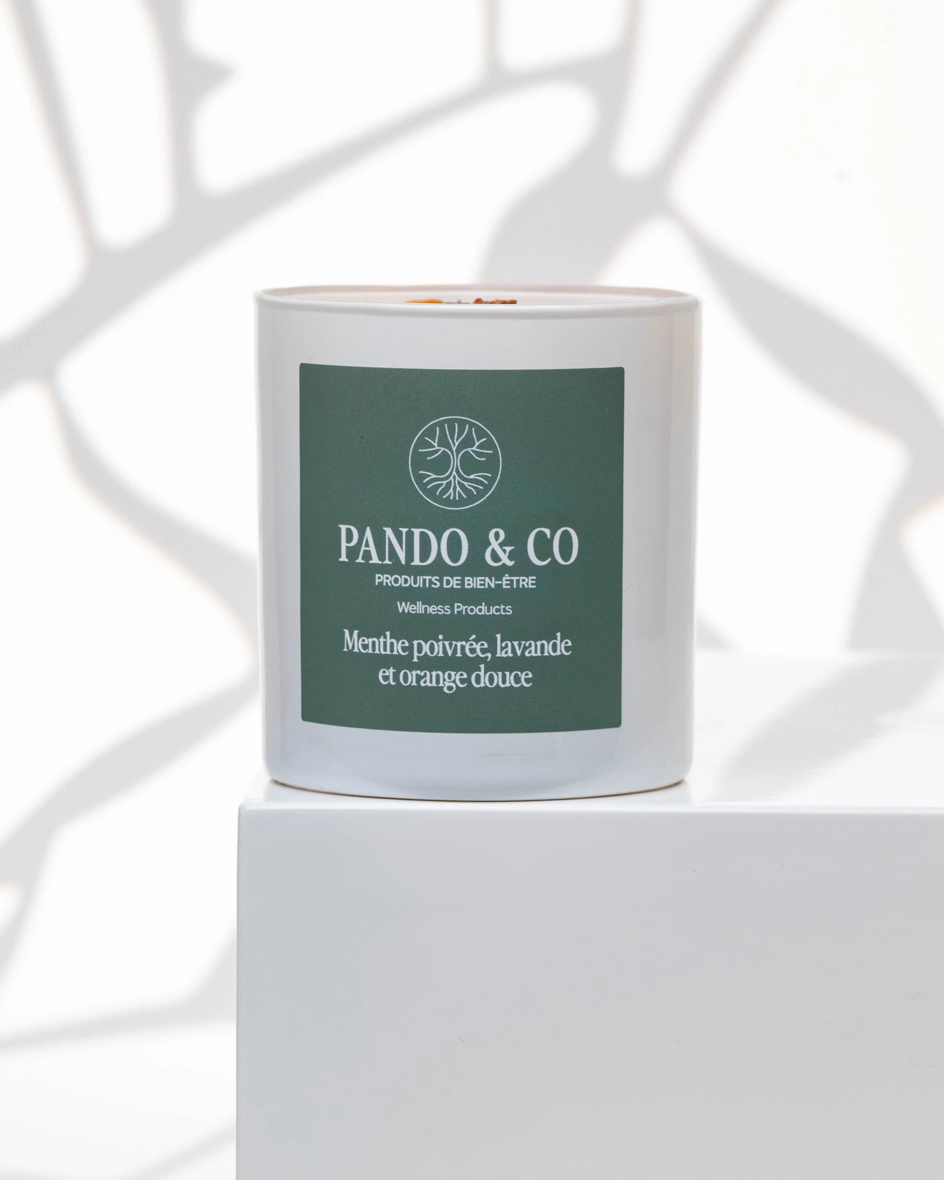 PANIER | COMME AU SPA Pando & co