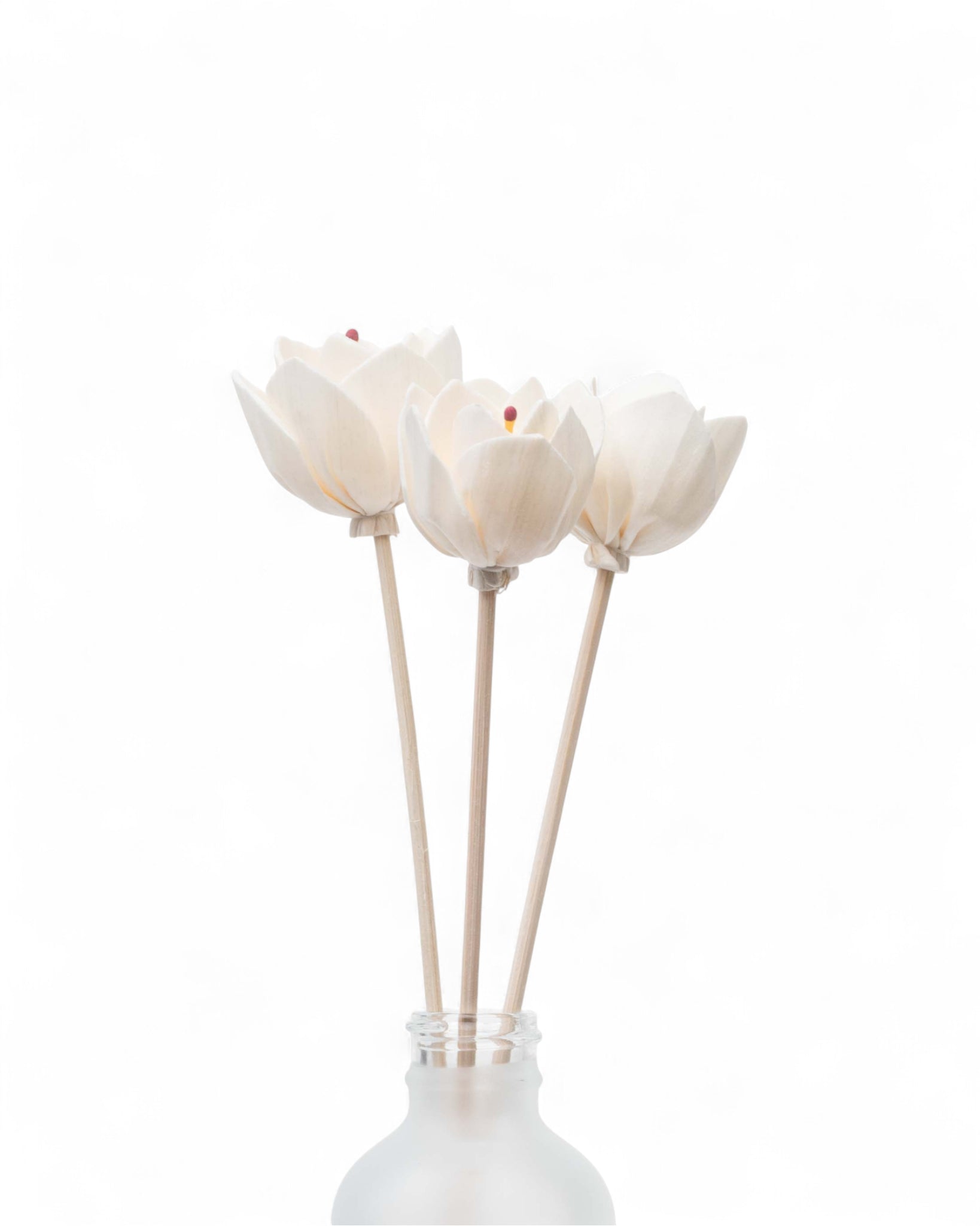 ROSEAUX | FLEUR Pando & co