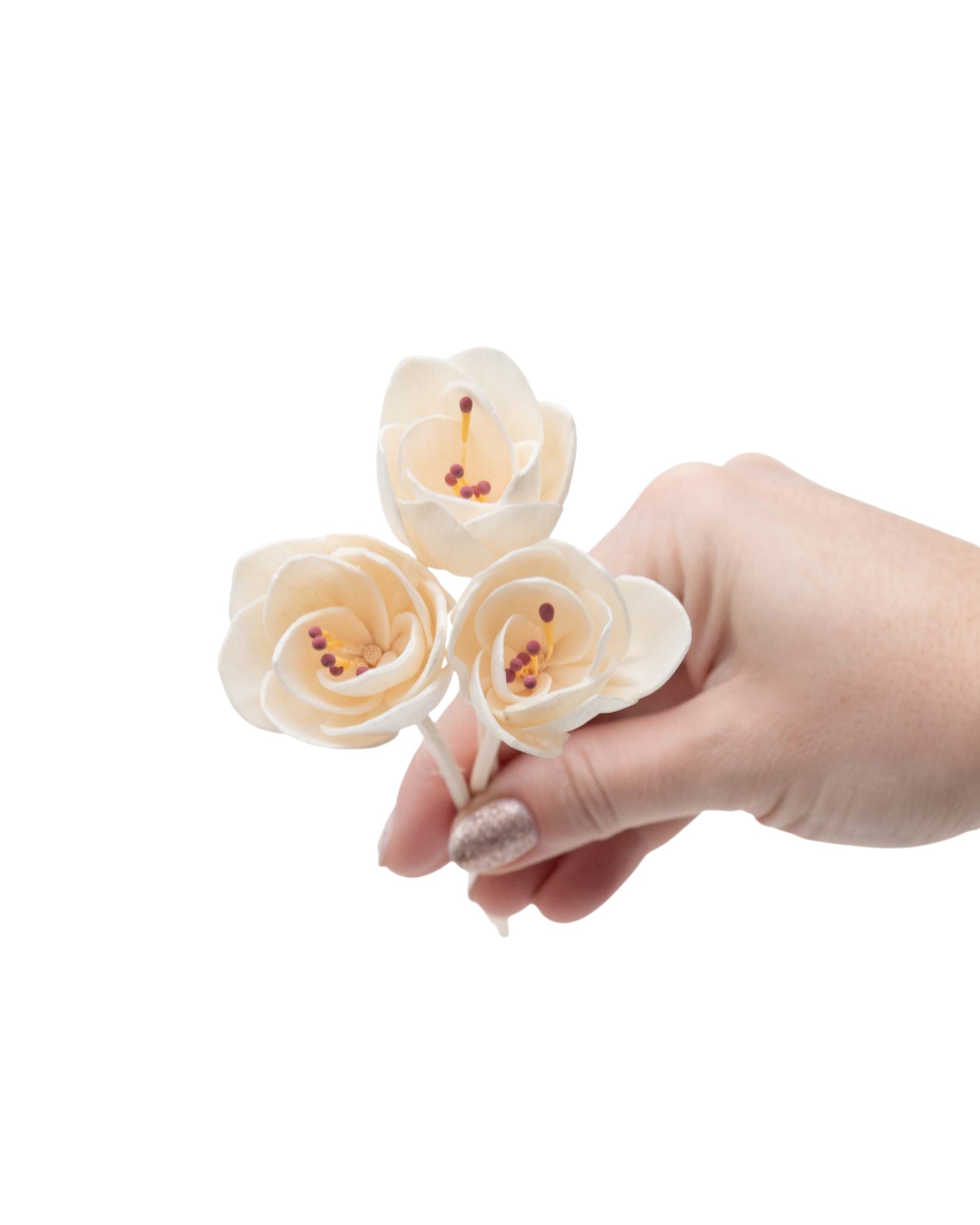 ROSEAUX | FLEUR Pando & co