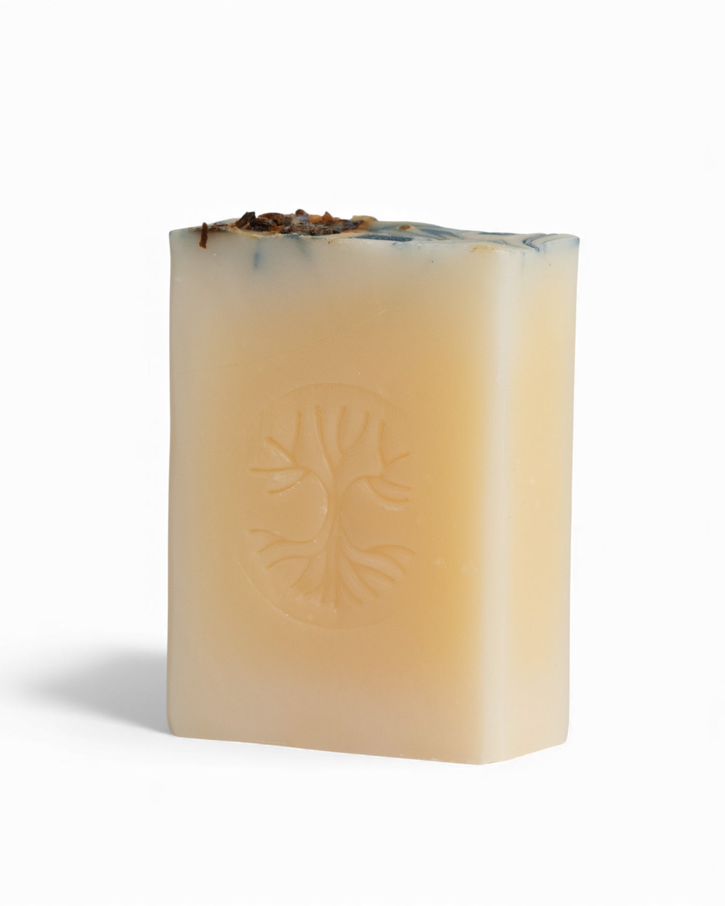 Savon corporel - Eucalyptus & lavande | Pando & Co