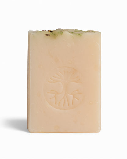 Savon corporel - Thé des bois & bergamote | Pando & Co