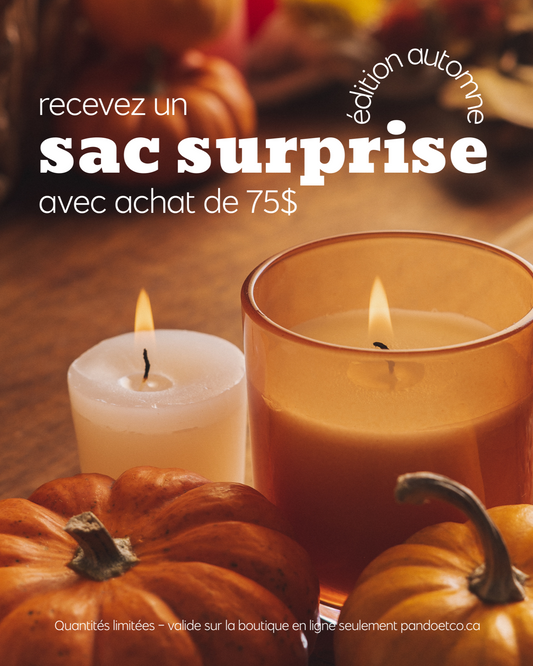 SAC SURPRISE - ÉDITION AUTOMNE | PANDO & CO