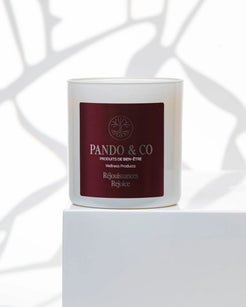 TRIO | BOUGIES DES FÊTES Pando & co