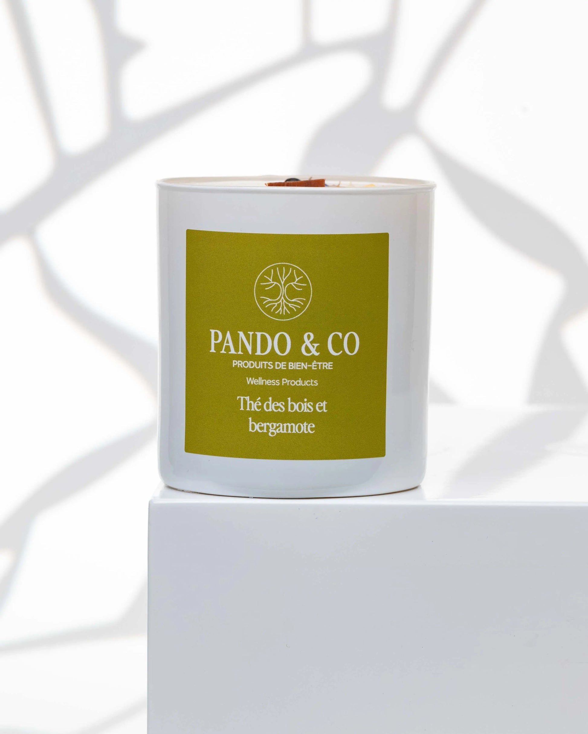 TRIO | BOUGIES ESTIVALES Pando & co