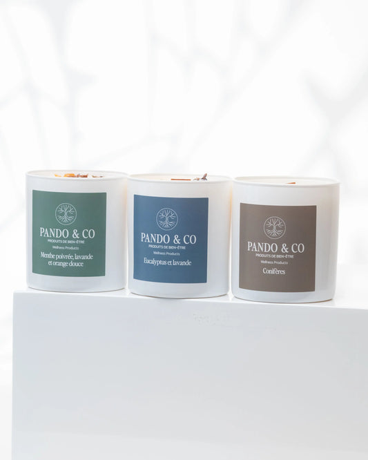 TRIO | BOUGIES HIVERNALES Pando & co