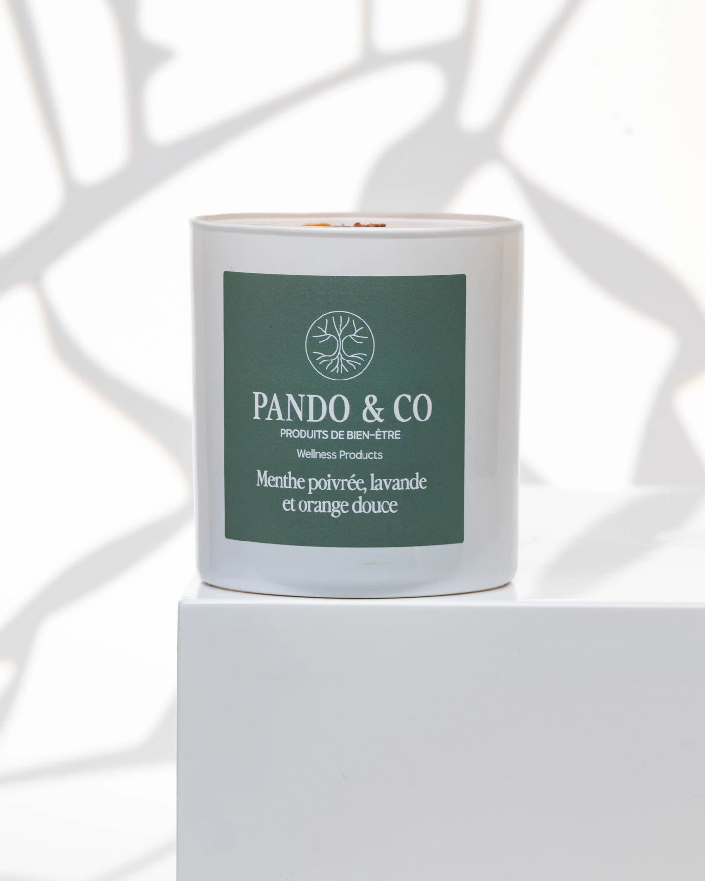 TRIO | BOUGIES HIVERNALES Pando & co