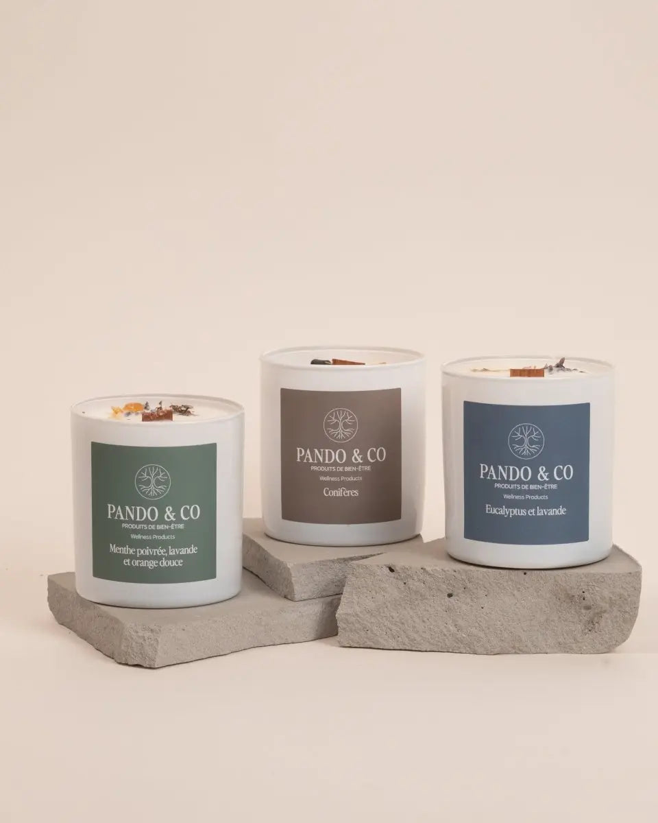 TRIO | BOUGIES HIVERNALES - Pando & co - Bougie