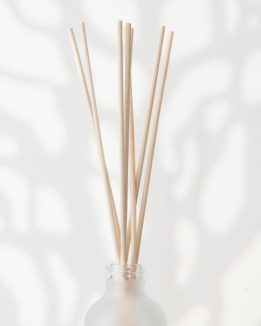 BÂTONS ROSEAUX - BAMBOU | PANDO & CO