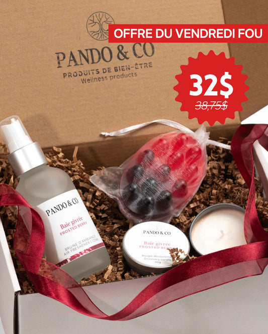 BOÎTE CADEAU - BAIE GIVRÉE | PANDO & CO