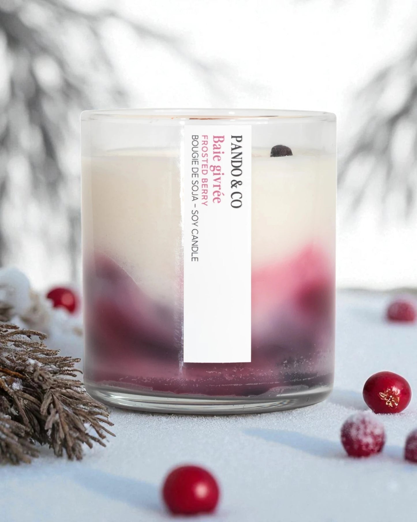 BOUGIE ARTISTE - BAIE GIVRÉE | PANDO & CO